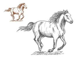 Running horses pencil sketch portrait vector