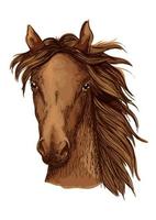 Beautiful brown horse portrait vector