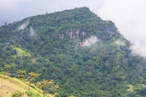 Beautiful landscape in the mountains photo