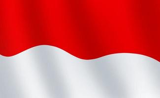 bandera nacional de indonesia foto