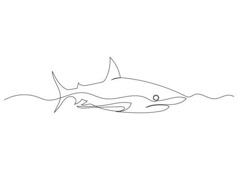 Continuous line drawing of shark with the ocean. Minimalism art. vector