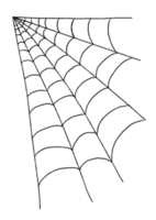 Aquarellillustration eines Spinnennetzes png