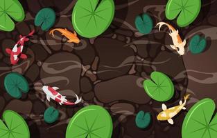 mascotas exóticas con fondo de peces koi vector