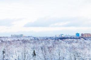 city and frozen park in winter photo