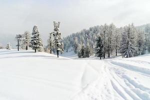 Pista de esquí de nieve en zona de esquí via lattea italia foto