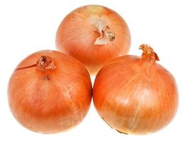 three onion bulbs photo