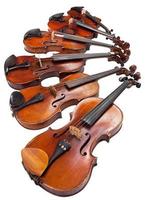 violines de diferentes tamaños de cerca foto