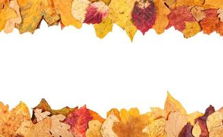 marcos superior e inferior de hojas amarillas de otoño foto