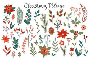 Set of Christmas foliage isolated on white background. Vector graphics.