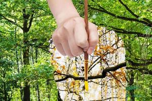 paintbrush paints yellow leaves on oak branch photo