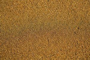 Background with golden sand on the coast of the island of Crete. Abstract surface with sand and clear sea water for text. photo