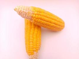 Two fresh corns on a white background photo