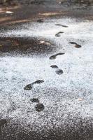 footprints in wet path covered by first snow photo