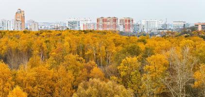 city panoramic view with autumn park photo