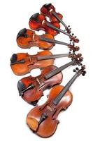 violines de diferentes tamaños foto