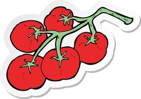 pegatina de tomates en la ilustración de la vid vector