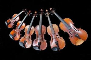 family of different sized violins on black photo