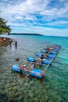 Workers settle and setup the waterworks fountain machine on the surface of the sea. photo