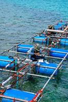 los trabajadores se asientan y configuran la máquina fuente de obras hidráulicas en la superficie del mar. foto