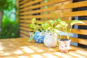 decoración de tetera a maceta de árbol en mesa de madera y estante en jardín de asia. foto