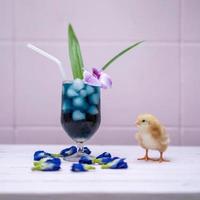 a yellow little chick with butterfly pea water and ice in a champagne glass is decorated by orchid and pandan leaf. It's shown and displayed on a pastel pink wood table in front of the cement wall. photo