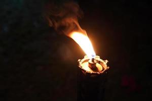 close up torch and fire in the night garden. photo