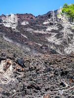 view of hardened lava flow on slope of Etna photo