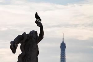 dove, statue and Eiffel Tower in Paris photo