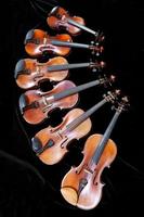 family of different sized fiddles on black photo