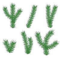 Christmas branch of pine element for web design. Nature abstract vector. illustration. Isolated on white background object. vector