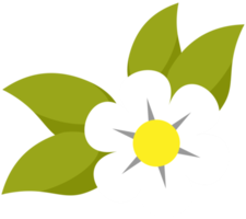 vit blomma med grön löv för avslappning och spa behandling design begrepp png