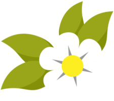 weiße blume mit grünen blättern für entspannungs- und spa-behandlungskonzept png