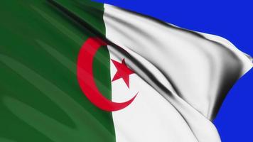 Loop of Algeria flag waving in wind blue background video