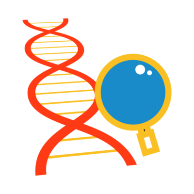 Training PNG Free Images with Transparent Background - (1,375 Free