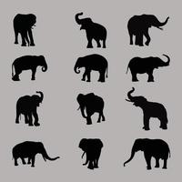 Elephants set silhouette isolated on a white background vector