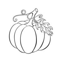 garabato de dibujo de contorno de calabaza, silueta de color negro, aislado, fondo blanco, elemento de otoño y halloween. vector