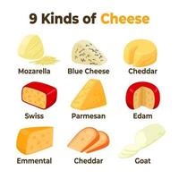 diferentes tipos de queso. comida sana. almuerzo aperitivo postre, con edam, queso cheddar, queso azul, suizo, mozarella, cabra y emmental vector