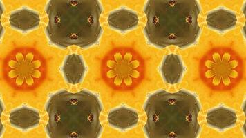 Abstract Background Kaleidoscope. Psychedelic Colourful Kaleidoscope VJ Background. Seamless Pattern Background video