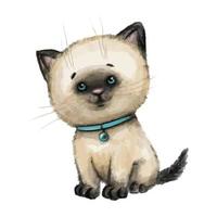 Cute cat watercolor vector illustration isolated on white background. Siamese kitten with a turquoise collar. Animal Character Design