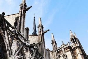 gargoyles of Notre Dame photo