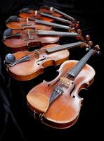 violines de diferentes tamaños sobre terciopelo negro foto