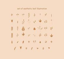 set of aesthetic leaf illustration vector