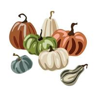 calabazas de diferentes variedades de formas y colores vector conjunto aislado en blanco. composición de calabazas de otoño maduras, se puede utilizar para la decoración navideña de acción de gracias.