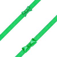 two green bow knots on two diagonal satin ribbons photo