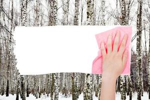 hand deletes bare trees in winter forest by rag photo