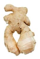 one ginger root photo