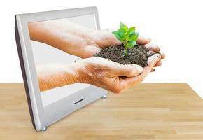 handful of soil with plant leads out TV screen photo