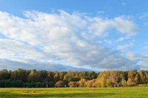 paisaje con césped verde en el parque de otoño foto