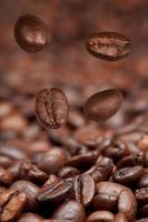 four falling beans and roasted coffee photo