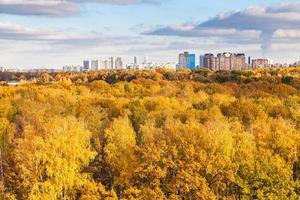 modern city and yellow woods in autumn day photo